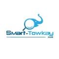 smart-towkay