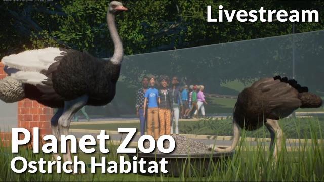 Planet Zoo Livestream @ Gamescom - Ostrich Habitat (ft. DeLadysigner & Rudi Rennkamel)