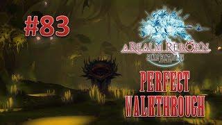 Final Fantasy XIV A Realm Reborn Perfect Walkthrough Part 83 - The Aurum Vale