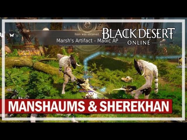 Artifact Grind at Manshaum & Sherekhan Grind - Black Desert Gameplay
