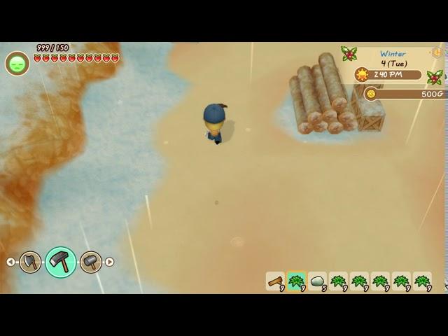 STORY OF SEASONS - Friends of Mineral Town Trainer +24