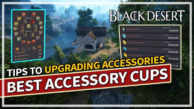 Best Accessory Cups to get for PvE & PvP 2024 Guide | Black Desert