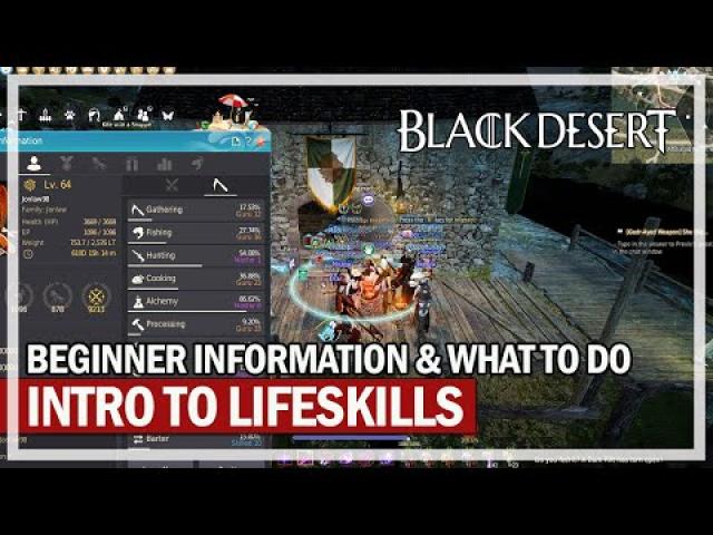 Intro to Lifeskills & Beginner Information | Black Desert
