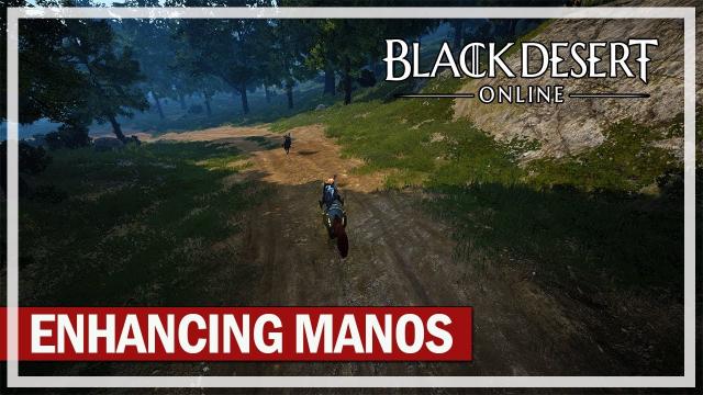 Black Desert Online - Enhancing Manos Clothes & Griffon Helm