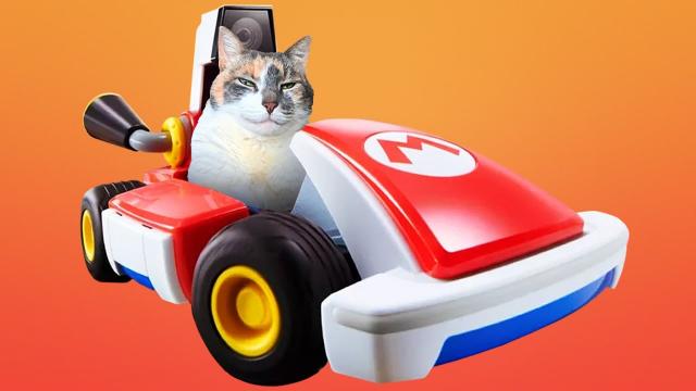 Mario Kart Live Vs. My Cats