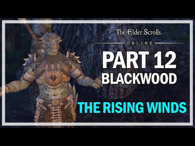 The Elder Scrolls Online Blackwood - Walkthrough Part 12 - Rising Winds