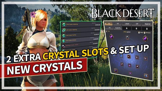 New Crystals Added & My Set Up for PvE / PvP and Lifeskills | Black Desert