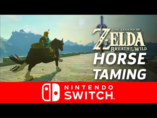 Let's Tame a Horse! - Legend of Zelda: Breath of the Wild Gameplay