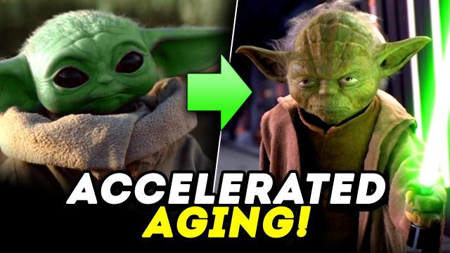 Why Baby Yoda May Age Much Faster Than You Think! - Star Wars The Mandalorian Theory
