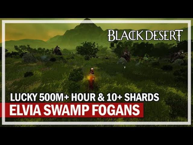 LUCKY 500M+ HOUR at Elvia Swamp Fogans Grind | Black Desert