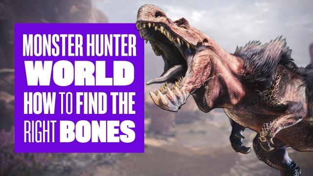 How to find bones in Monster Hunter World: Monster Hunter World PS4 gameplay