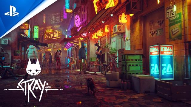 Stray - Teaser Trailer | PS5