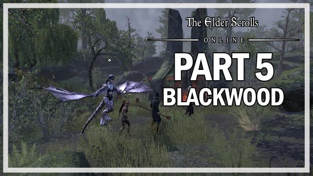The Elder Scrolls Online Blackwood - Walkthrough Part 5 - Mysterious Event