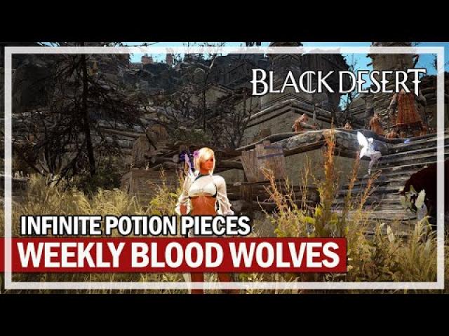 Blood Wolves Weekly Quest for Infinite Potion Pieces | Black Desert