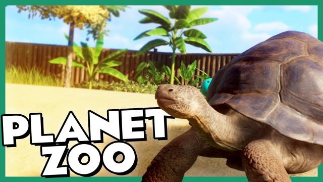 Buildings SHOPS and Buying TORTOISES! | Planet Zoo (Part 2)