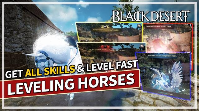How To Level Horses Fast & Get ALL Tier 9 & 10 Skills | Black Desert