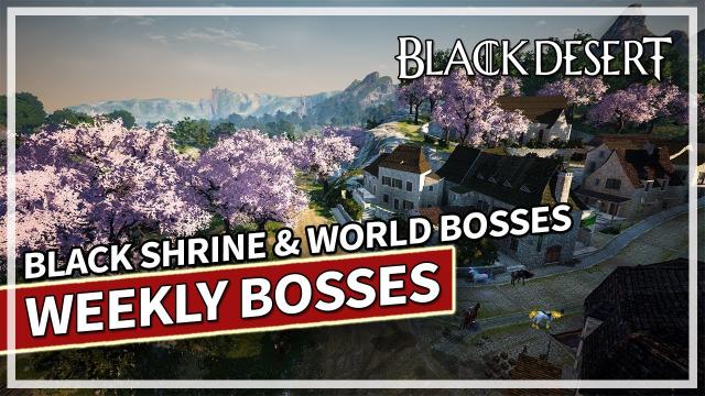 Weekly Black Shrine & World Bosses Adventure | Black Desert