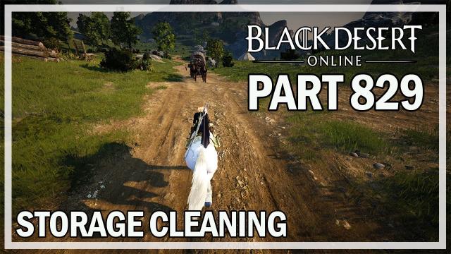 Black Desert Online - Dark Knight Let's Play Part 829 - Storage Cleaning