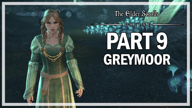 The Elder Scrolls Online - Greymoor Walkthrough Part 9 - Wards