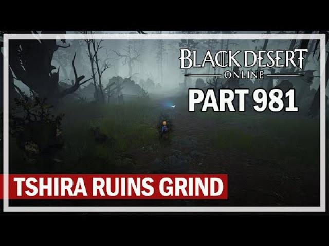 Black Desert Online - Let's Play Part 981 - Tshira Ruins Grind