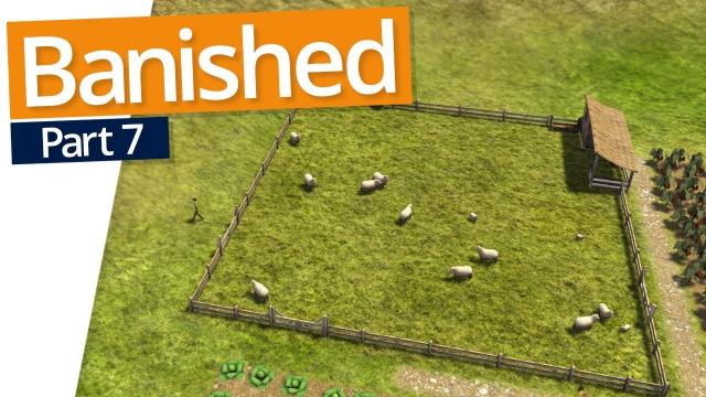 Banished | SHEEP (#7)