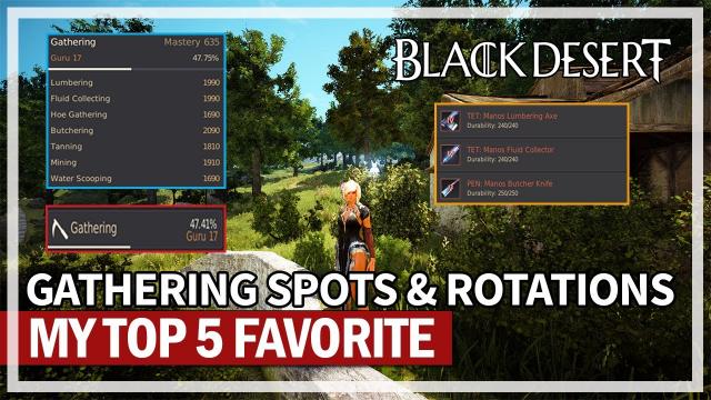 My 5 Favorite Gathering Spots & Rotations (2000+ Mastery & Guru 17) | Black Desert