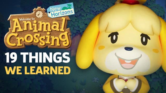 19 Things We Learned From The Animal Crossing: New Horizons Direct