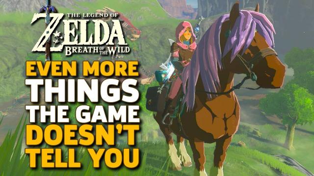 Even More Things I Wish I Knew Before I Started Zelda: Breath of the Wild