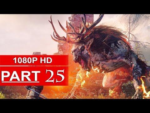 The Witcher 3 Gameplay Walkthrough Part 25 [1080p HD] Witcher 3 Wild Hunt - No Commentary