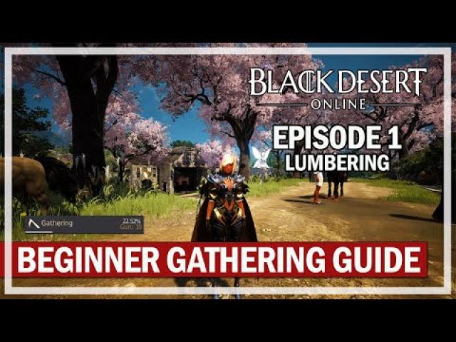 LUMBERING - Beginner Gathering Lifeskill Guide 2022 - Episode 1 | Black Desert