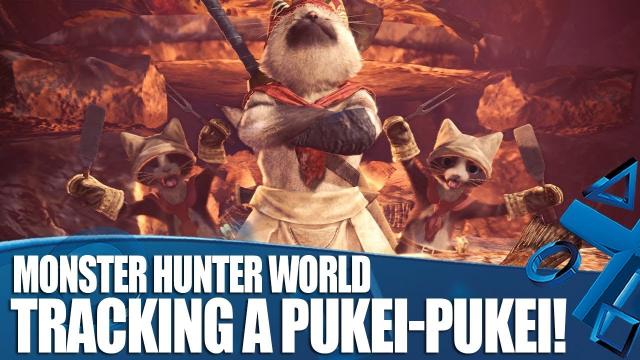 Monster Hunter World New Gameplay - Tracking A Pukei-Pukei!