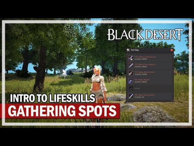 Intro to Lifeskills - My Gathering Spots | Black Desert