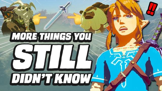 19 MORE Things You STILL Didn't Know In BOTW