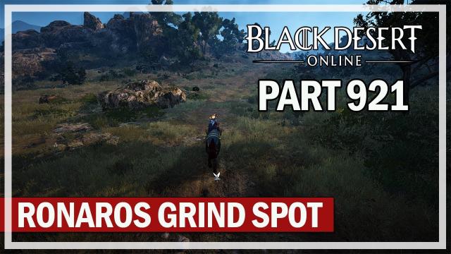 Black Desert Online - Let's Play Part 921 - My Ronaros Grind Spot for Infinite Potion