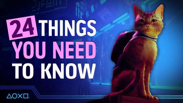 Stray - 24 Things You Need To Know Before You Play