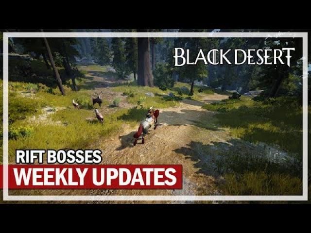 Weekly Progress Update & Rift Bosses | Black Desert