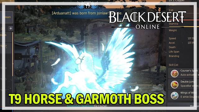 T9 Horse Attempt #18 & Garmoth Boss - Black Desert Online