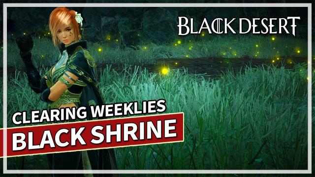 Weekly LoML Shrine Bosses but the Audio is gone... | Black Desert