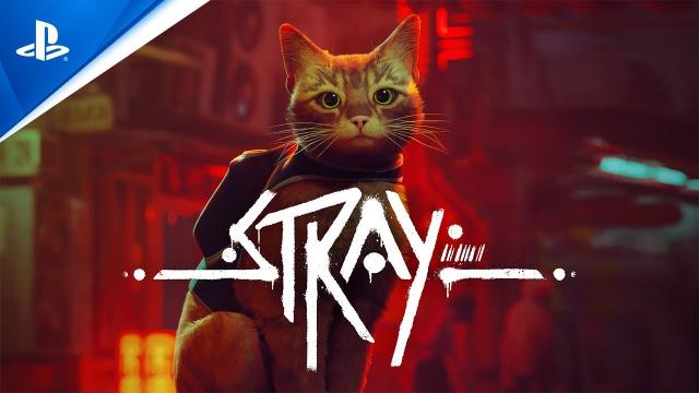 Stray - Launch Trailer | PS5 & PS4 Games