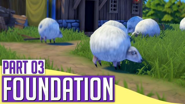 Foundation | SHEEP FARMING (#3)