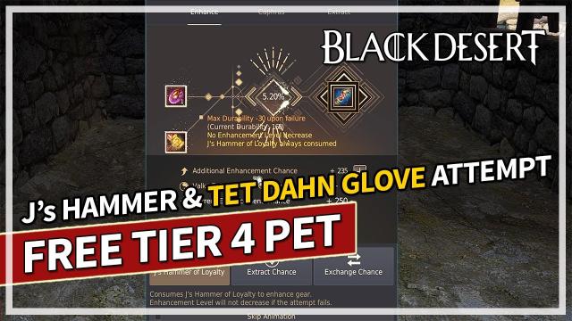 FREE Tier 4 Pet & J's Hammer Rewards & TET Dahn's Glove Attempt | Black Desert