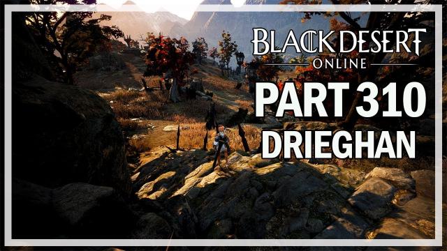 Black Desert Online - Dark Knight Let's Play Part 310 - Night Crow Post