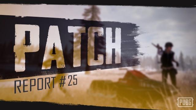 PUBG - Patch Report - PC Update #25