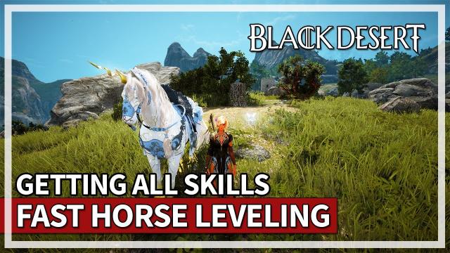 Level Horses Fast & Getting All Skills Tips | Black Desert
