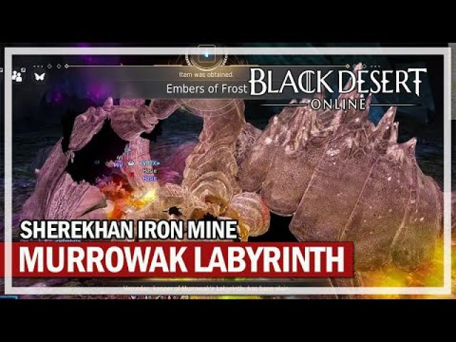 Murrowak's Labyrinth / Sherekhan Iron Mine Grind - Dark Knight | Black Desert