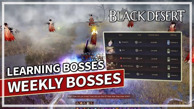 Boss Blitz Weekly - C5 & C6 Succession Dark Knight | Black Desert