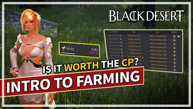 Intro to FARMING Lifeskill Guide - Is it worth the CP? | Black Desert