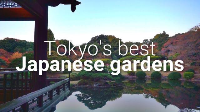 Japan Vlog - Tokyo's Best Japanese Gardens
