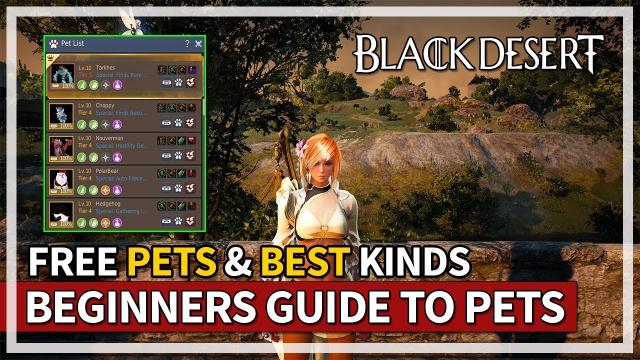 Beginners Guide to Pets & Best Types to Get | Black Desert