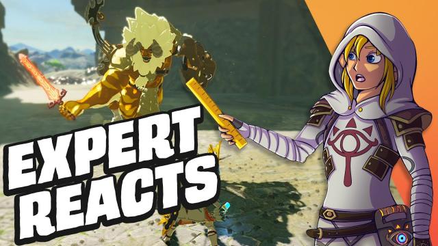 Zelda BOTW Experts Reacts To Viral Reddit Clips